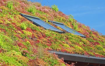 Glandwr living roof systems