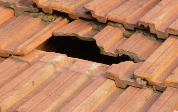roof repair Glandwr